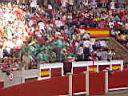 toros21.jpg