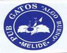 Pub Gatos
