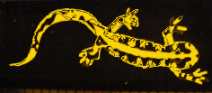 Discoteca Salamandra